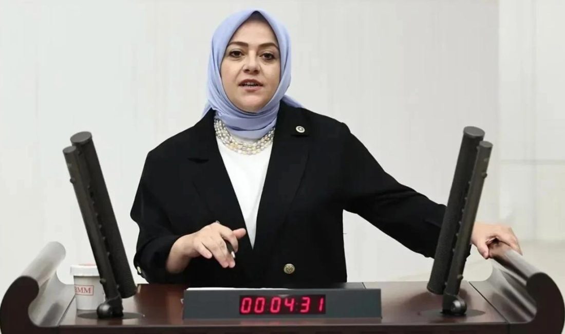 Denizli Milletvekili Sema Silkin Ün, İsrail ordusunda askerlik yapan çifte