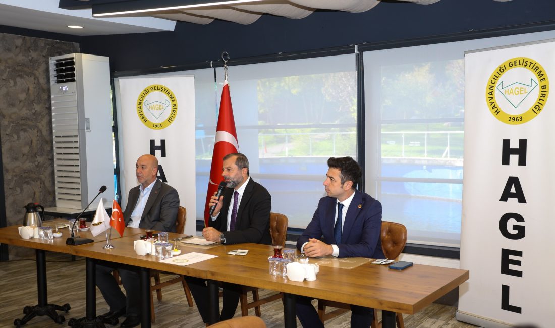 Bursa İli Tarım ve Hayvancılığı Geliştirme Birliği (HAGEL), 2027 çalışma