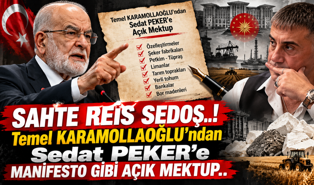 Kamu varlıklarının özelleştirilmesi, Petkim ve Tüpraş gibi kuruluşların el değiştirmesi