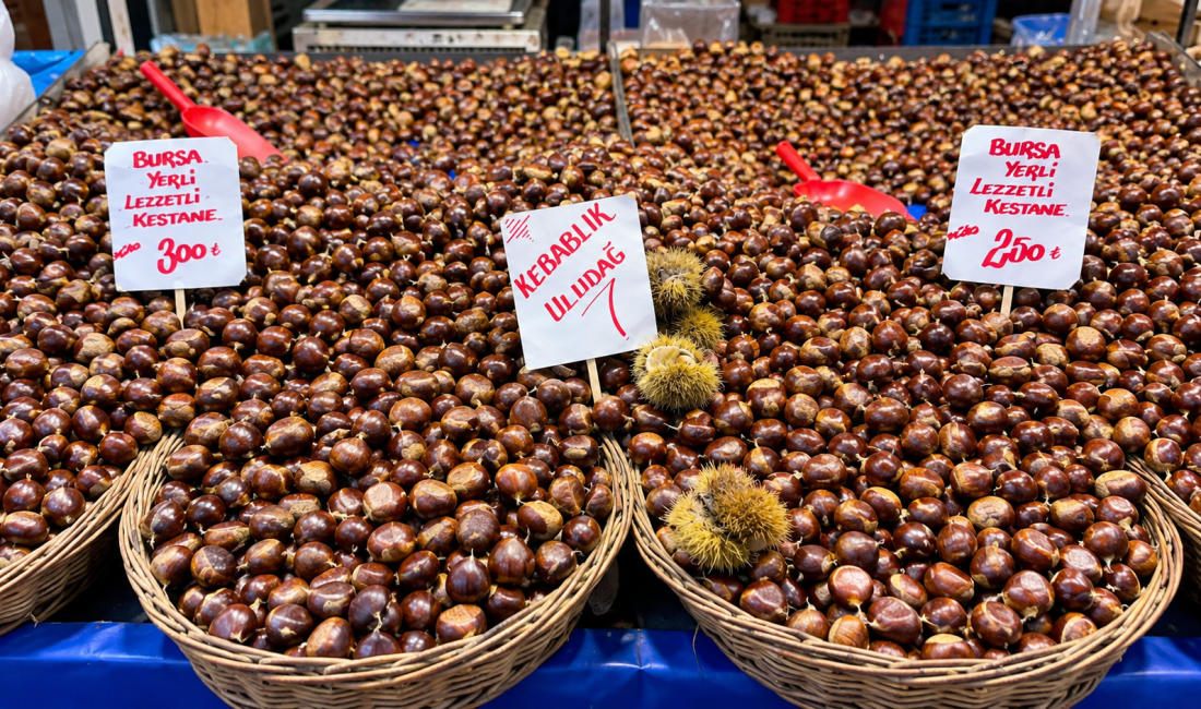Bursa Tuz Pazarı’nda kestanenin kilogramı 200, 250 ve 300 TL’den